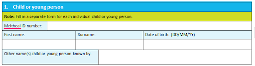 Meitheal Strengths and Needs Record Form with Case Study- Tusla Ireland 